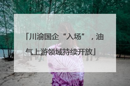 川渝国企“入场”，油气上游领域持续开放