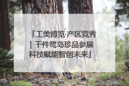 工美博览·产区竞秀｜千件鹭岛珍品参展 科技赋能智创未来