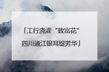 工行浇灌“致富花” 四川通江银耳绽芳华
