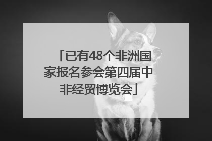 已有48个非洲国家报名参会第四届中非经贸博览会