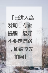 已进入高发期，专家提醒：最好不要走野路，如被咬先拍照