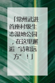 常州武进首座村级生态湿地公园，在这里邂逅“诗和远方”！