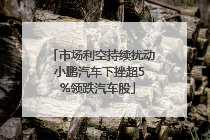 市场利空持续扰动 小鹏汽车下挫超5%领跌汽车股