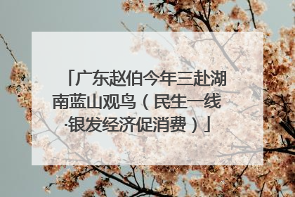 广东赵伯今年三赴湖南蓝山观鸟（民生一线·银发经济促消费）