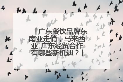 广东餐饮品牌东南亚走俏，马来西亚-广东经贸合作有哪些新机遇？