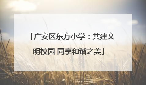 广安区东方小学：共建文明校园 同享和谐之美