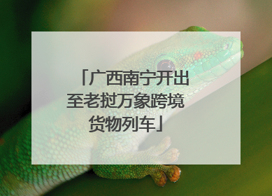 广西南宁开出至老挝万象跨境货物列车