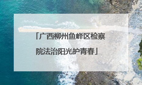 广西柳州鱼峰区检察院法治阳光护青春