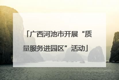 广西河池市开展“质量服务进园区”活动
