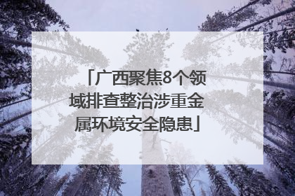 广西聚焦8个领域排查整治涉重金属环境安全隐患