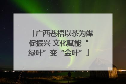 广西苍梧以茶为媒促振兴 文化赋能“绿叶”变“金叶”