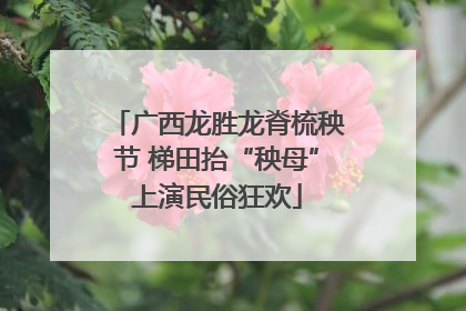 广西龙胜龙脊梳秧节 梯田抬“秧母”上演民俗狂欢
