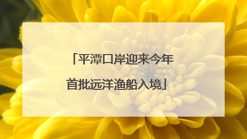 平潭口岸迎来今年首批远洋渔船入境
