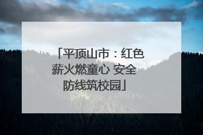 平顶山市：红色薪火燃童心 安全防线筑校园