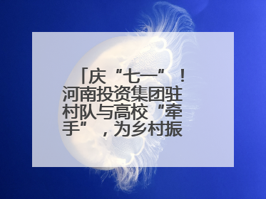 庆“七一”！河南投资集团驻村队与高校“牵手”，为乡村振兴添新活力