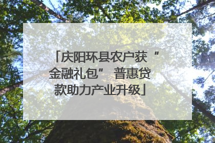 庆阳环县农户获“金融礼包” 普惠贷款助力产业升级