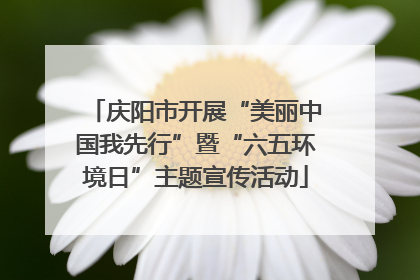 庆阳市开展“美丽中国我先行”暨“六五环境日”主题宣传活动