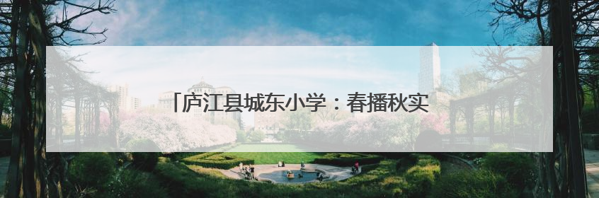 庐江县城东小学：春播秋实终有信 薪火相续再启征