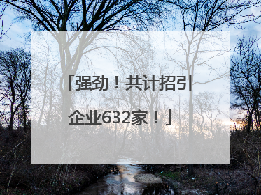 强劲！共计招引企业632家！