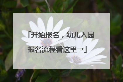 开始报名，幼儿入园报名流程看这里→