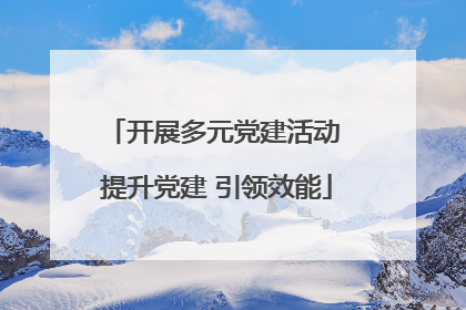 开展多元党建活动 提升党建 引领效能