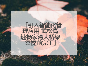 引入智能化管理应用 武松高速杨家湾大桥架梁提前完工