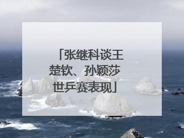 张继科谈王楚钦、孙颖莎世乒赛表现