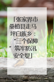 张家界市桑植县走马坪白族乡：“三个保障”筑牢防汛安全堤
