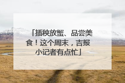 插秧放蟹、品尝美食！这个周末，吉报小记者有点忙