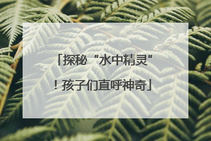 探秘“水中精灵”！孩子们直呼神奇