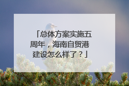 总体方案实施五周年，海南自贸港建设怎么样了？