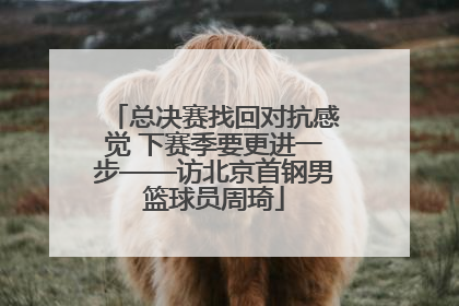 总决赛找回对抗感觉 下赛季要更进一步——访北京首钢男篮球员周琦