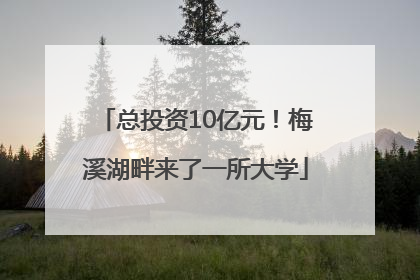 总投资10亿元！梅溪湖畔来了一所大学