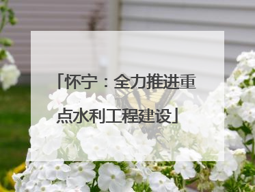 怀宁：全力推进重点水利工程建设