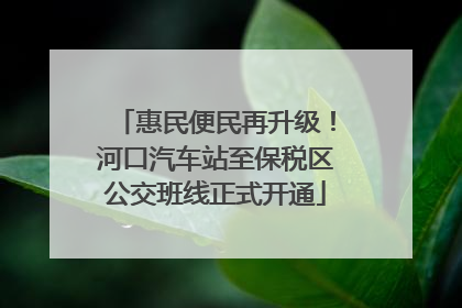 惠民便民再升级！河口汽车站至保税区公交班线正式开通