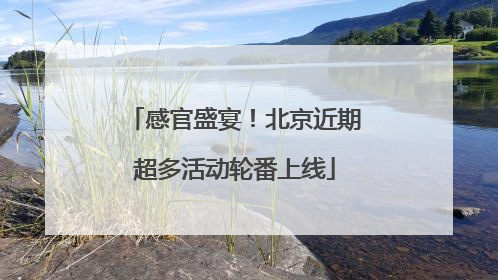 感官盛宴！北京近期超多活动轮番上线