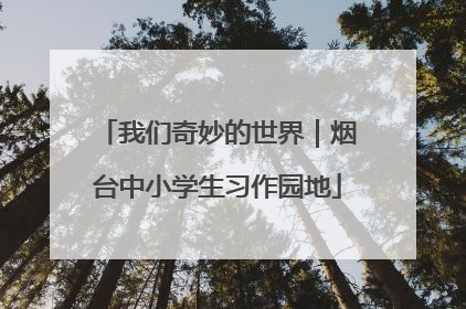 我们奇妙的世界｜烟台中小学生习作园地