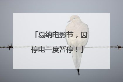 戛纳电影节，因停电一度暂停！