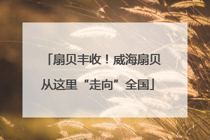扇贝丰收！威海扇贝从这里“走向”全国
