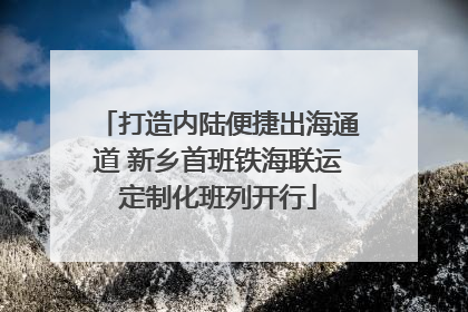 打造内陆便捷出海通道 新乡首班铁海联运定制化班列开行