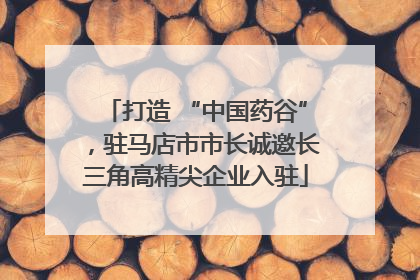 打造 “中国药谷”，驻马店市市长诚邀长三角高精尖企业入驻