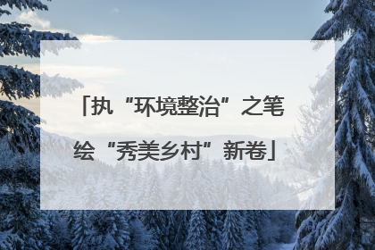 执“环境整治”之笔 绘“秀美乡村”新卷