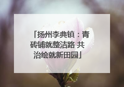扬州李典镇：青砖铺就整洁路 共治绘就新田园