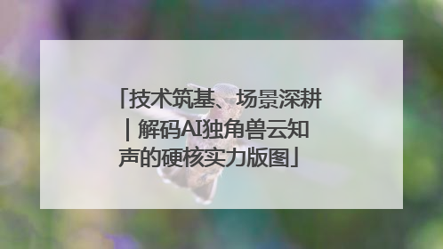 技术筑基、场景深耕｜解码AI独角兽云知声的硬核实力版图