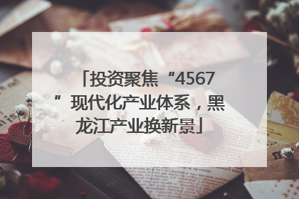投资聚焦“4567”现代化产业体系，黑龙江产业换新景