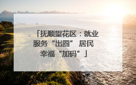 抚顺望花区：就业服务“出圈” 居民幸福“加码”