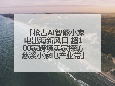 抢占AI智能小家电出海新风口 超100家跨境卖家探访慈溪小家电产业带