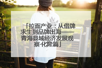 拉面产业：从借牌求生到品牌出海——青海县域经济发展观察·化隆篇