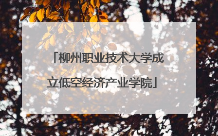 柳州职业技术大学成立低空经济产业学院