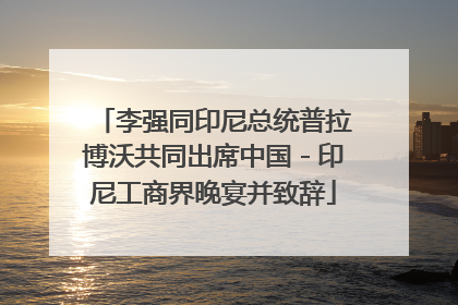 李强同印尼总统普拉博沃共同出席中国－印尼工商界晚宴并致辞